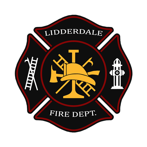 LFD logo